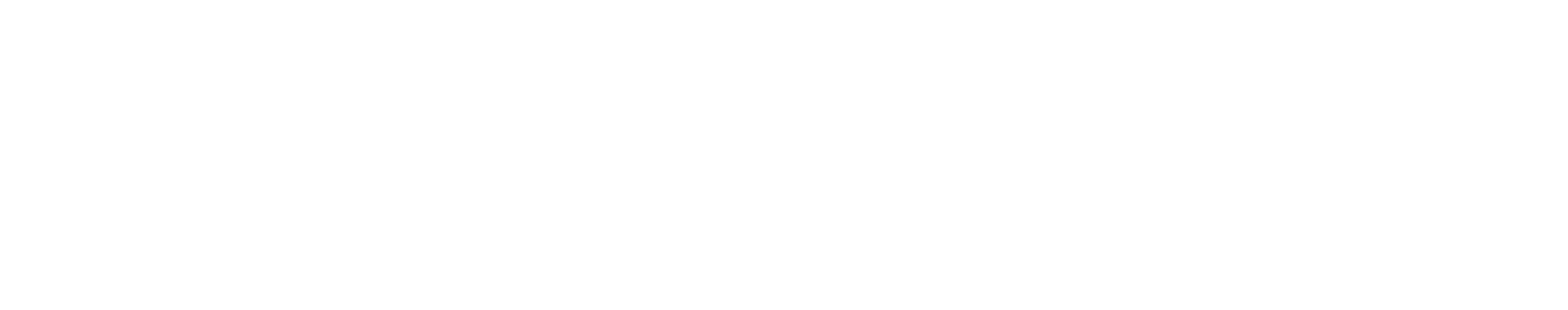 Danoice Logo